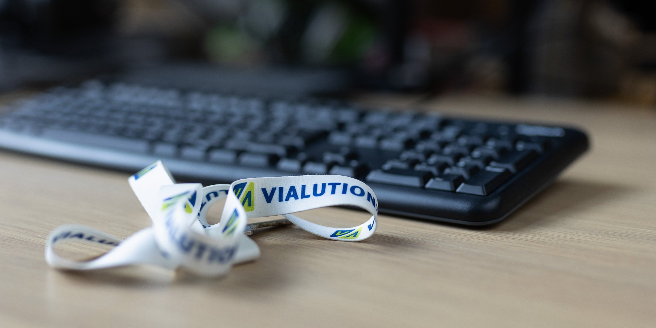Vialutions_Schlüsselband
